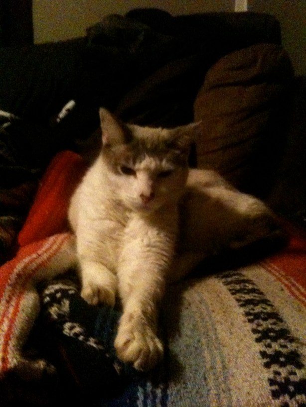 Handsome Girl Modelling School