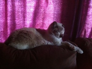 Handsome Girl Modelling School pose #113