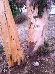 This is where I buried Kanji