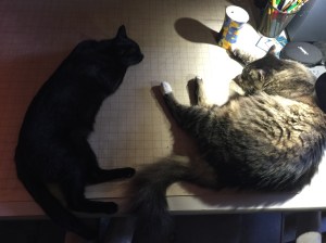 Brother-and-Mallory-Battlemat