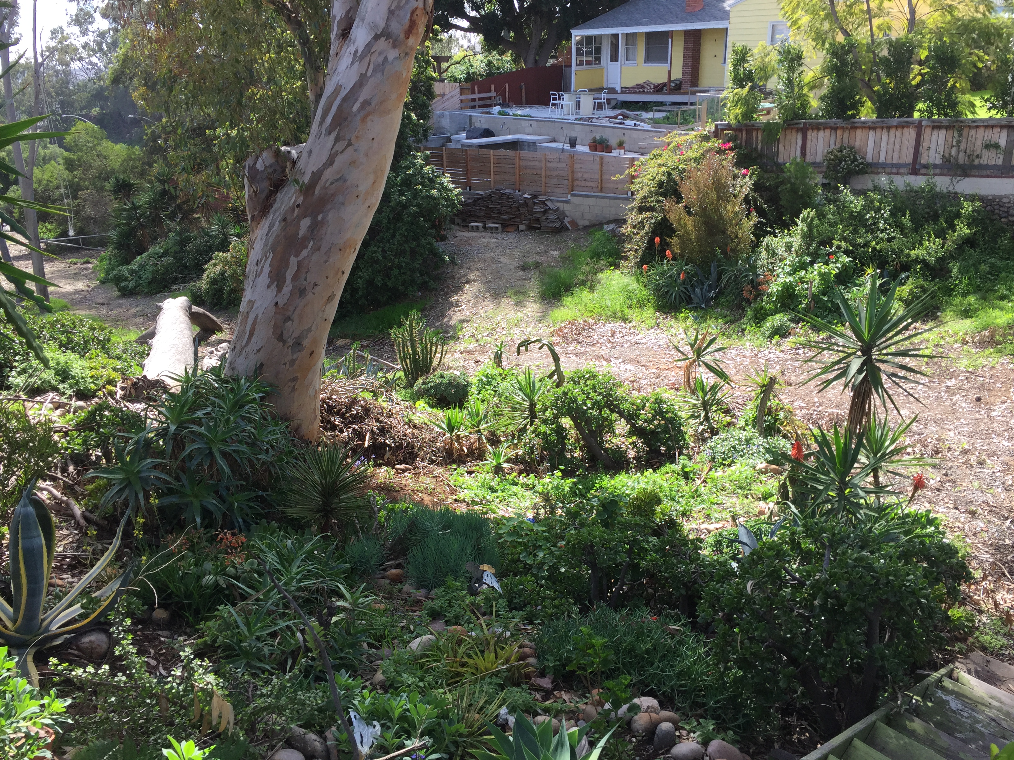 Mallory-and-Kanji-Edgemont-at-Rest